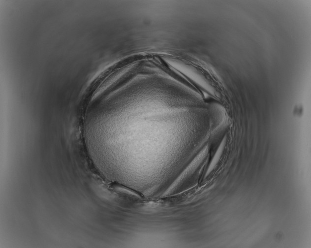 X0000090931160200708201822