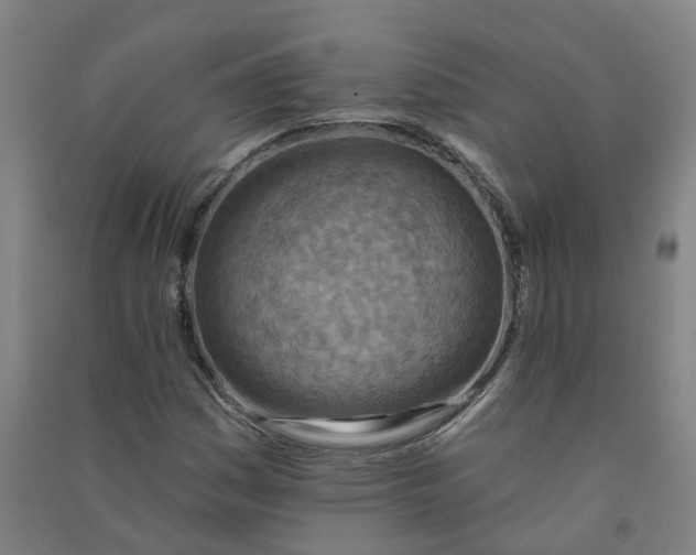 X0000090931161200708201822