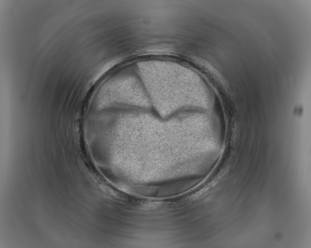 X0000090931162200708201822