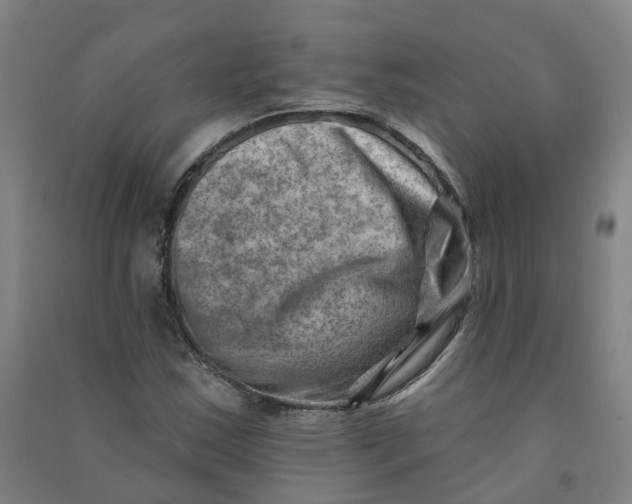 X0000090931163200708201822