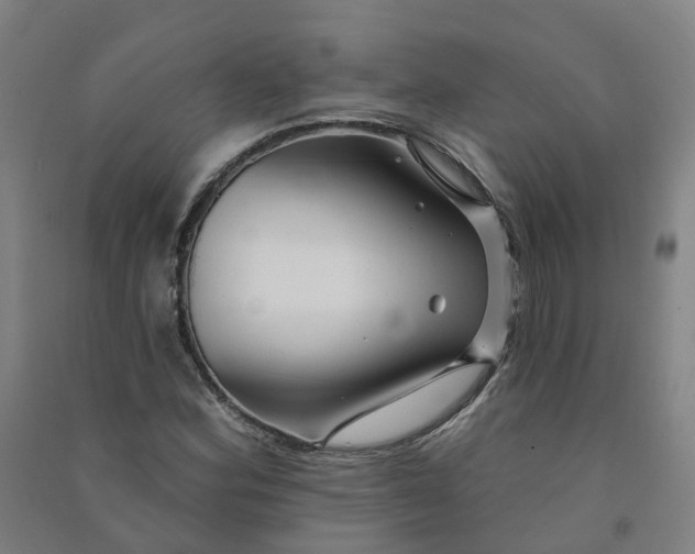 X0000090931164200708201822