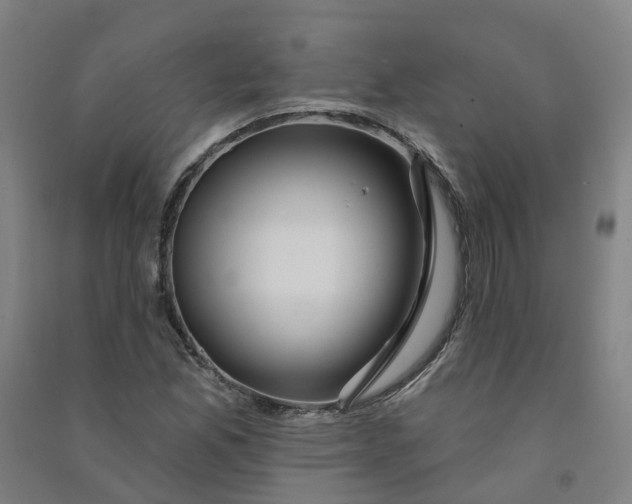 X0000090931165200708201822