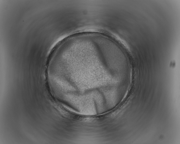 X0000090931166200708201822