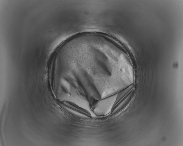 X0000090931167200708201822