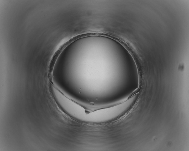 X0000090931168200708201822