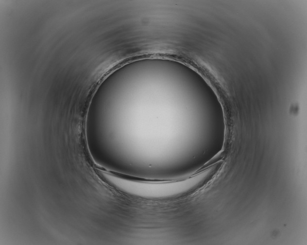 X0000090931169200708201821