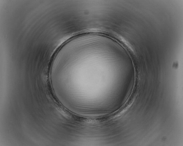 X0000090931170200708201821