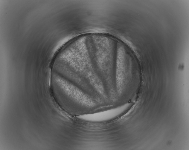 X0000090931171200708201821