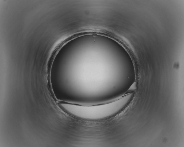 X0000090931172200708201821