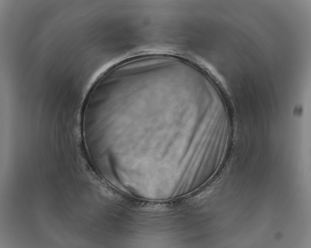 X0000090931174200708201821