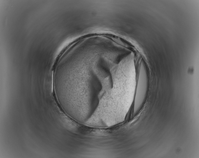 X0000090931175200708201821