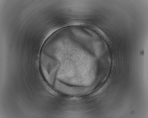 X0000090931178200708201821