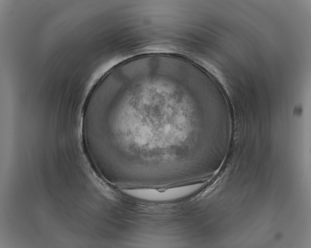 X0000090931179200708201821