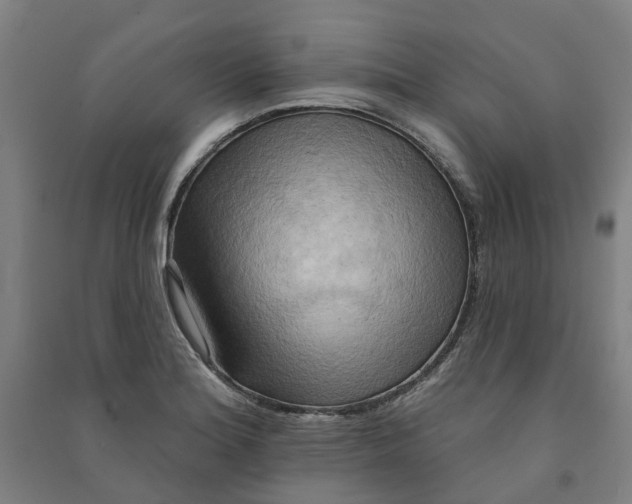 X0000090931180200708201821