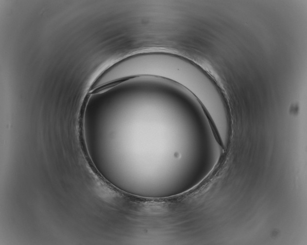 X0000090931181200708201821