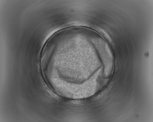 X0000090931182200708201821