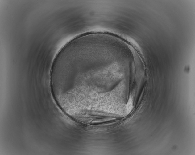 X0000090931183200708201821