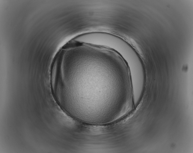 X0000090931184200708201821