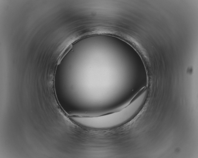 X0000090931185200708201821