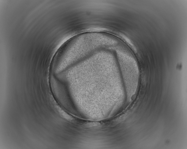 X0000090931186200708201821