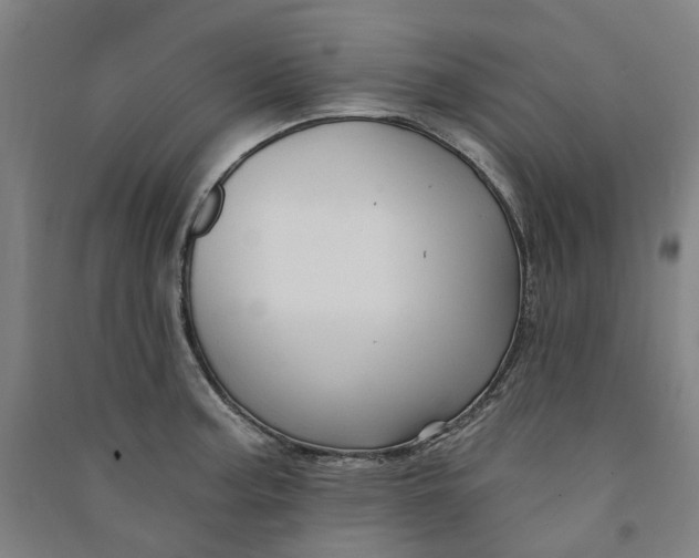 X0000090931187200708201821