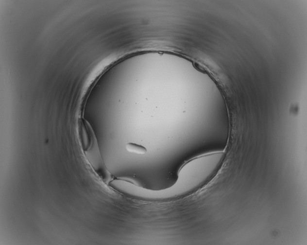 X0000090931188200708201821