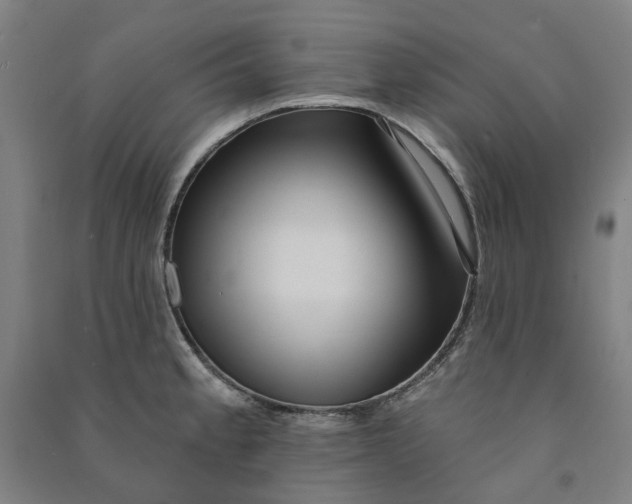 X0000090931189200708201821