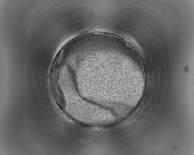 X0000090931190200708201821