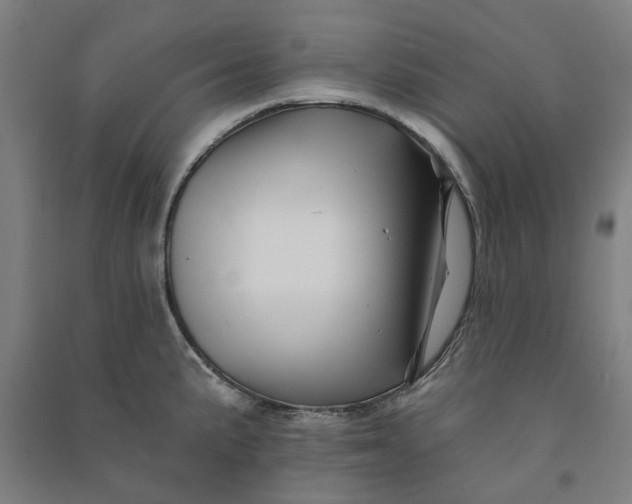 X0000090931191200708201821