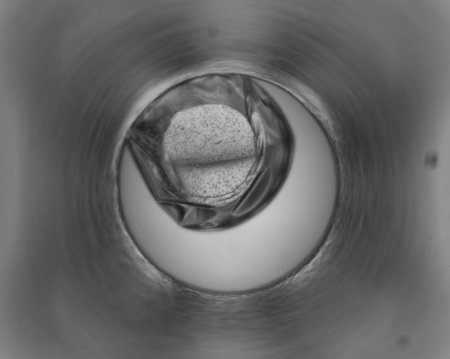 X0000090931192200708201821