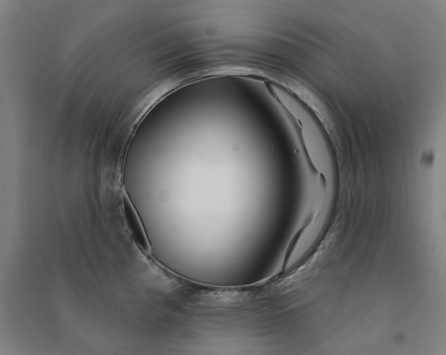 X0000090931193200708201821