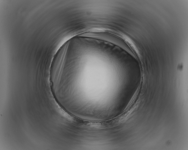 X0000090931194200708201821