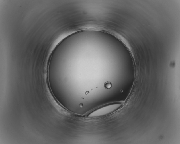 X0000090931195200708201821