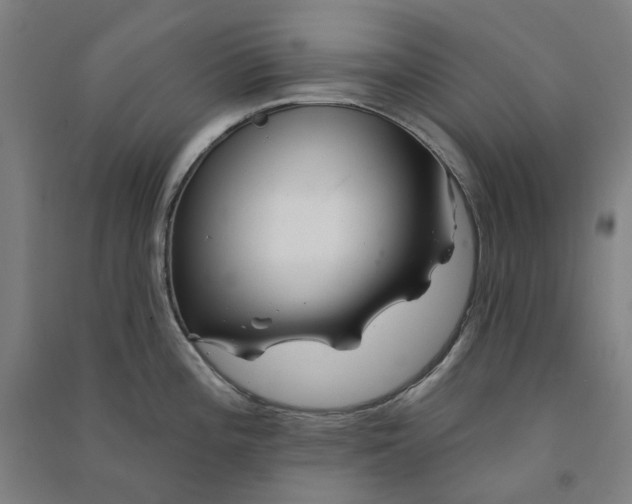 X0000090931196200708201821