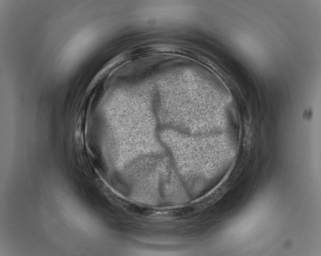 X0000090931198200708201821