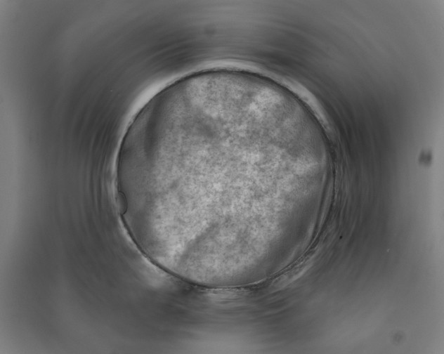 X0000090931199200708201821