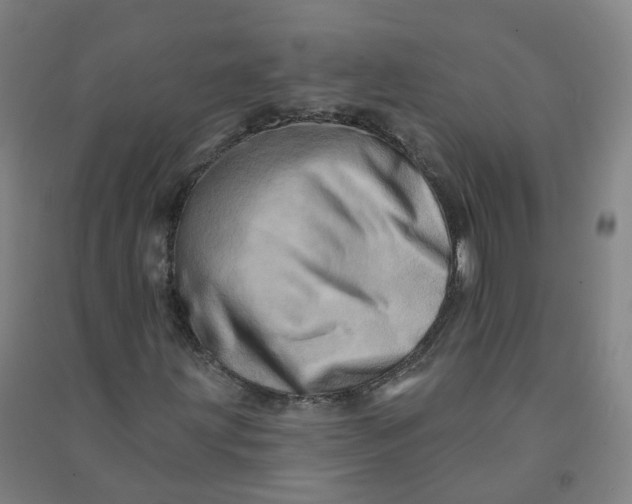 X0000090931203200708201820