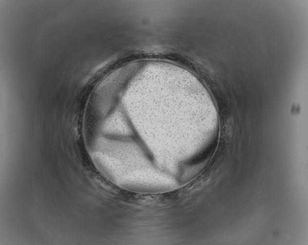 X0000090931205200708201820