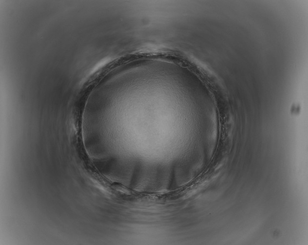 X0000090931206200708201820