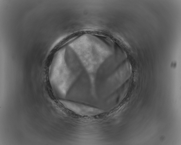 X0000090931208200708201820