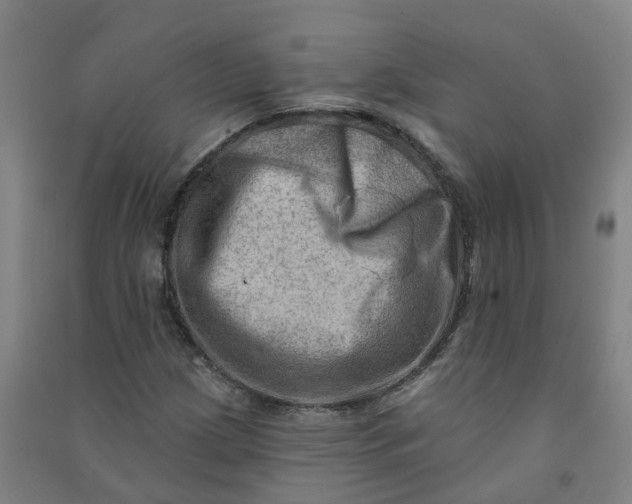 X0000090931209200708201821