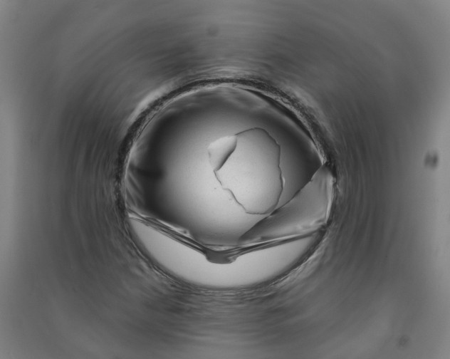 X0000090931210200708201821