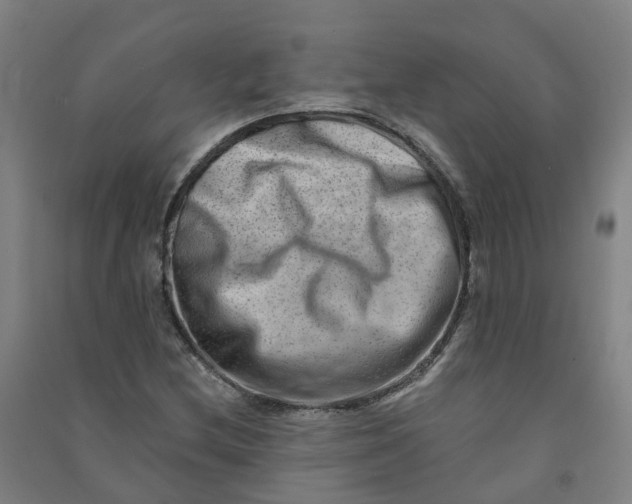 X0000090931212200708201821