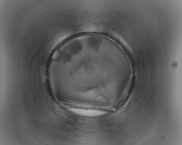 X0000090931213200708201821