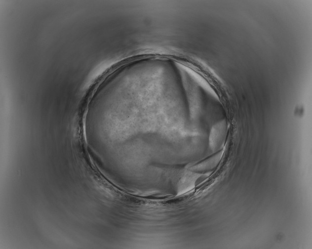 X0000090931215200708201821