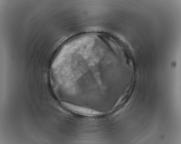 X0000090931217200708201821