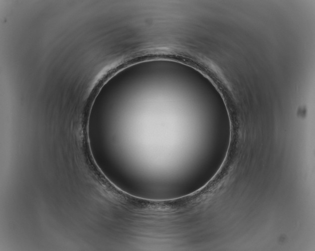 X0000090931218200708201821