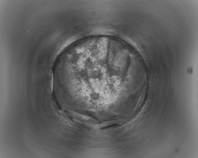 X0000090931219200708201821