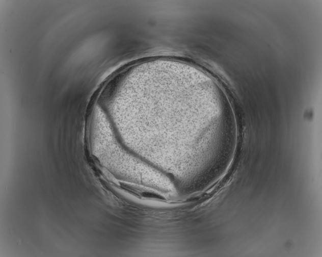 X0000090931220200708201821