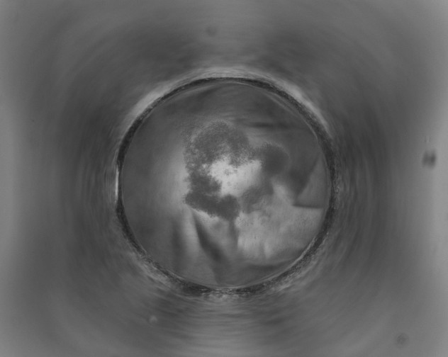 X0000090931221200708201821